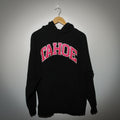 Vintage Y2K Tahoe college hoodie full view on hanger